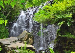 箱根 飛竜の滝